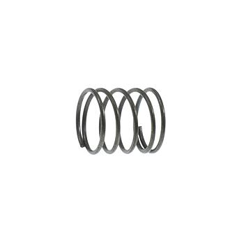 Oiler Spring RASOR # PA SW104103 (Genuine)