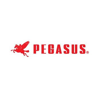 PEGASUS