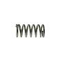 Replacement Spring for Aluminum Water Spray Gun (LECHLER)