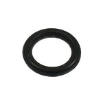 O Ring RASOR # PA P011 (Originale)