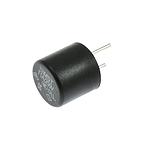 Fuse 1A RASOR # F 5010F01 (Genuine)