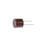 Fuse 2A RASOR # PA T1029F10 (Genuine)