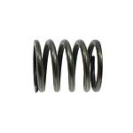 Compression Spring DURKOPP # 0273 000530 (ORIGINAL)