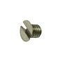 Spring Securing Screw RASOR DS503, FP503 # F 5066 (Genuine)